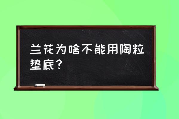 陶粒铺兰花盆面好吗 兰花为啥不能用陶粒垫底？