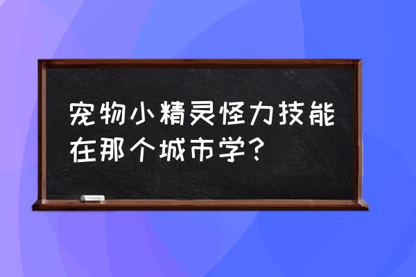 宠物小精灵金版哪里学冲浪 宠物小精灵怪力技能在那个城市学？