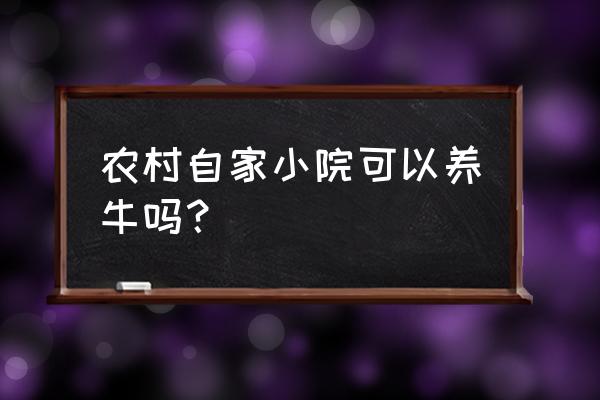 家中养牛风水好不好 农村自家小院可以养牛吗？