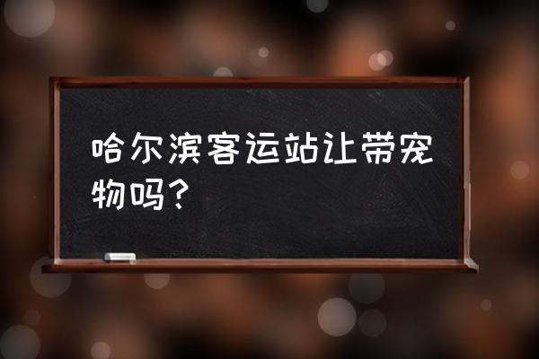 哈尔滨西客站能带宠物吗 哈尔滨客运站让带宠物吗？