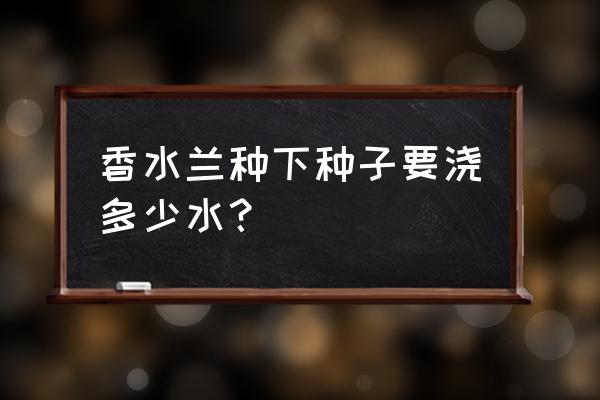 如何养好香水兰花 香水兰种下种子要浇多少水？