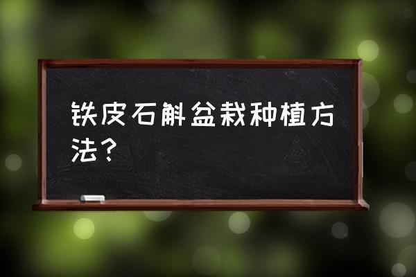 铁皮石斛盆景如何养护种植 铁皮石斛盆栽种植方法？