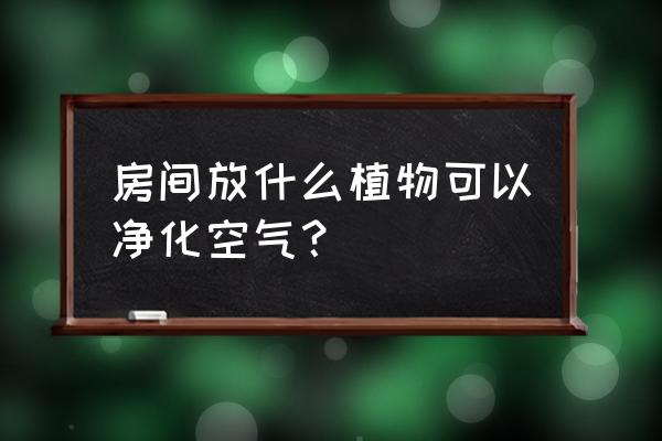 才能净化室内空气的植物有哪些 房间放什么植物可以净化空气？