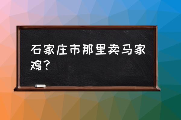 石家庄哪家的烧鸡好吃 石家庄市那里卖马家鸡？