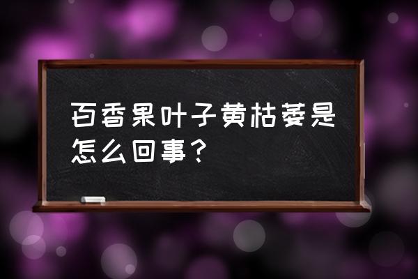 百香果树突然枯萎怎么救 百香果叶子黄枯萎是怎么回事？