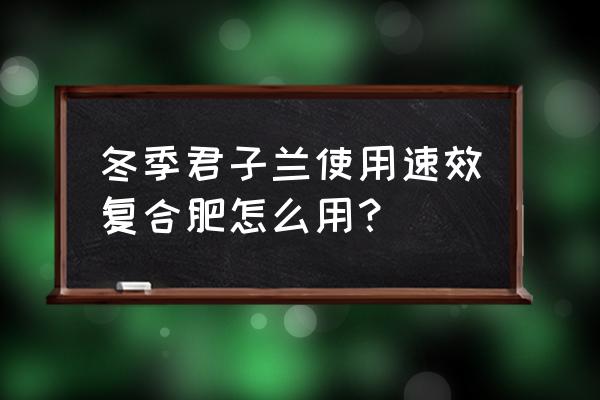 复合肥可以兑水浇君子兰吗 冬季君子兰使用速效复合肥怎么用？