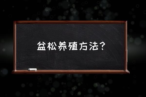 松树盆景多久浇水一次 盆松养殖方法？