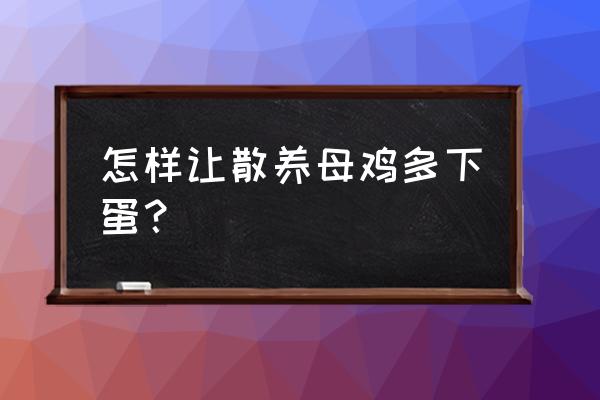 怎样提升放养鸡产蛋率 怎样让散养母鸡多下蛋？