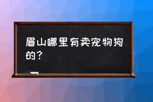 眉山有没有自家养的边牧出售 眉山哪里有卖宠物狗的？