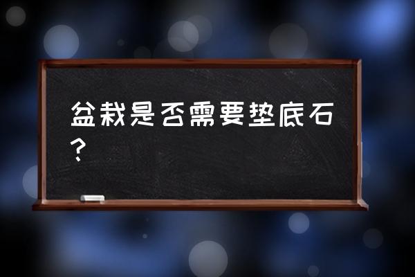 花盆底下放石头好不好 盆栽是否需要垫底石？