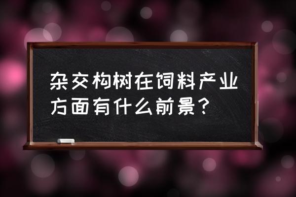 构树饲料市场前景怎样 杂交构树在饲料产业方面有什么前景？