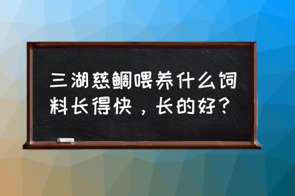 三湖喂什么饲料长的快 三湖慈鲷喂养什么饲料长得快，长的好？