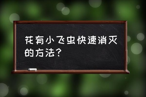 花盆里的小飞虫怎么除掉 花有小飞虫快速消灭的方法？