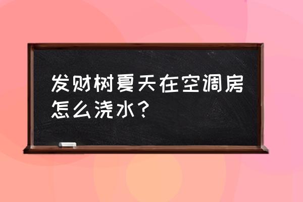 大发财树夏天怎么浇水 发财树夏天在空调房怎么浇水？