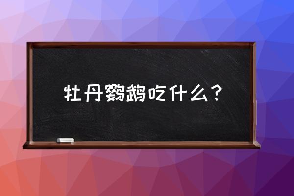 牡丹鹦鹉食什么饲料 牡丹鹦鹉吃什么？