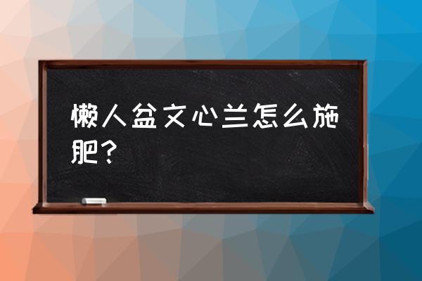 文心兰出花剑后如何浇水施肥 懒人盆文心兰怎么施肥？