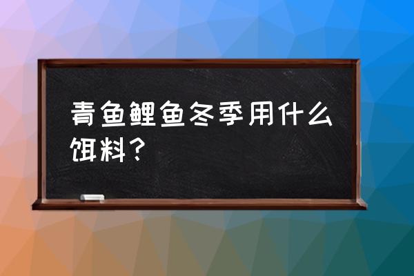 青鱼冬天喂什么饲料 青鱼鲤鱼冬季用什么饵料？