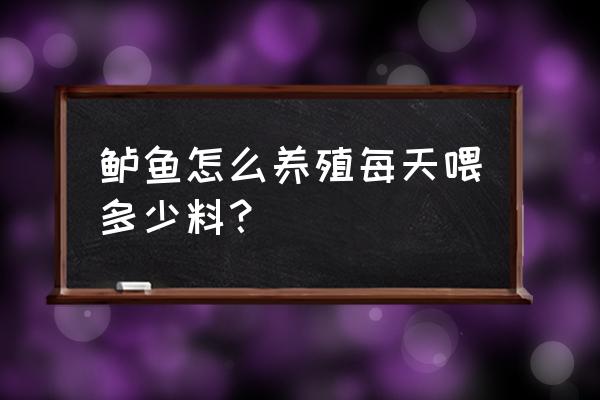 鲈鱼可以喂饲料吗 鲈鱼怎么养殖每天喂多少料？