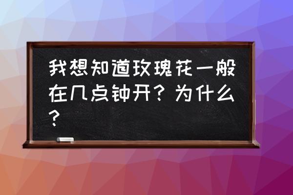 玫瑰花几时几分开花的 我想知道玫瑰花一般在几点钟开？为什么？