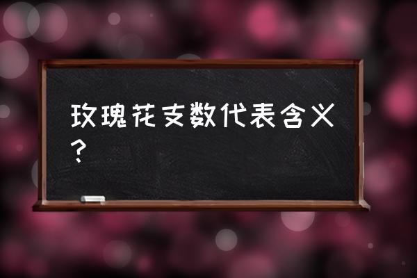 玫瑰数代表什么意思 玫瑰花支数代表含义？