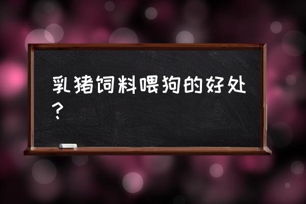 什么猪饲料适合喂狗 乳猪饲料喂狗的好处？