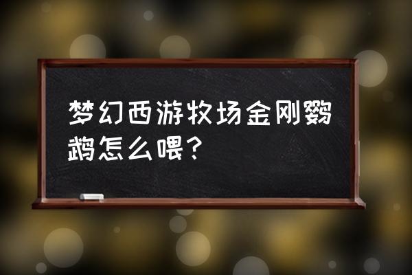 梦幻西游珍贵饲料怎么喂养动物 梦幻西游牧场金刚鹦鹉怎么喂？