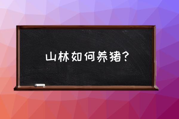 山地养猪还需要喂食吗 山林如何养猪？