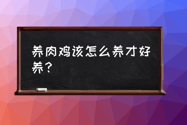 信宜哪有肉鸡养殖场 养肉鸡该怎么养才好养？