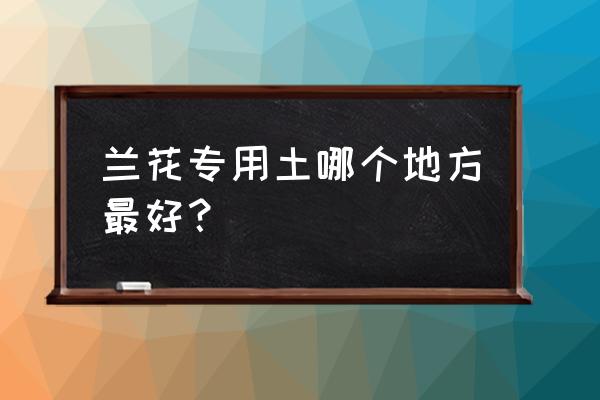 去超市能买到兰花土吗 兰花专用土哪个地方最好？