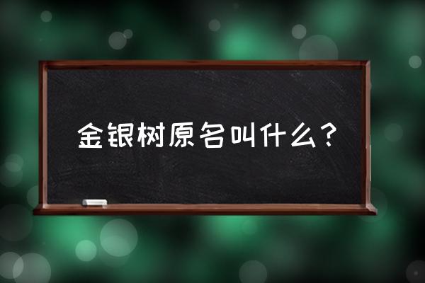 金银木是不是乔木 金银树原名叫什么？