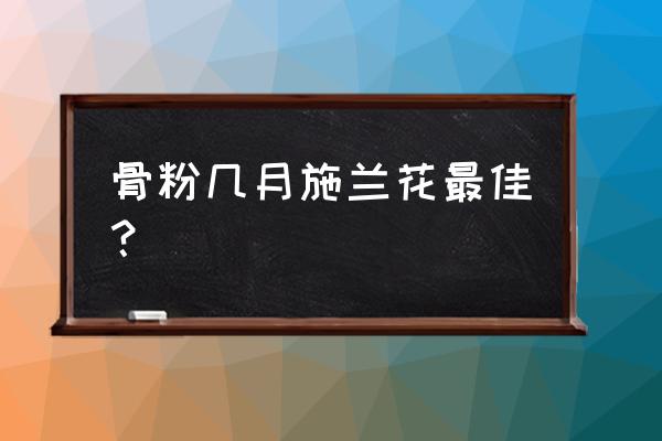 兰花盆底能放骨头吗 骨粉几月施兰花最佳？