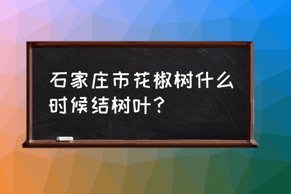 刚栽花椒树苗一般几天出叶子 石家庄市花椒树什么时候结树叶？