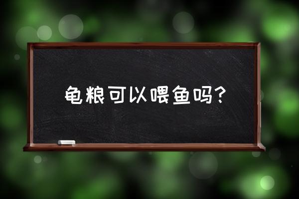 乌龟饲料可以喂鱼吗? 龟粮可以喂鱼吗？