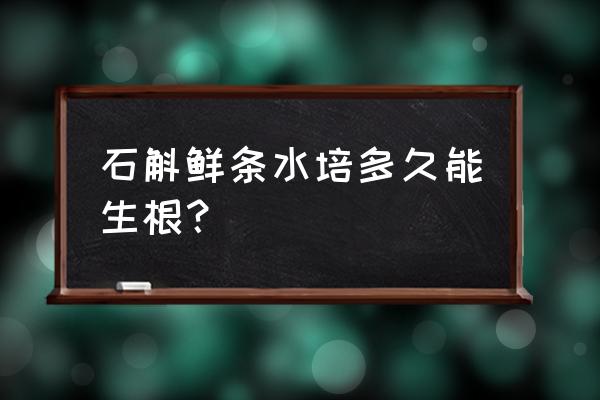 盆栽铁皮石斛水泡可以长牙吗 石斛鲜条水培多久能生根？