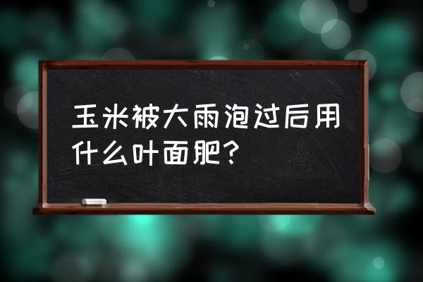 玉米打叶面肥下雨了怎么办 玉米被大雨泡过后用什么叶面肥？