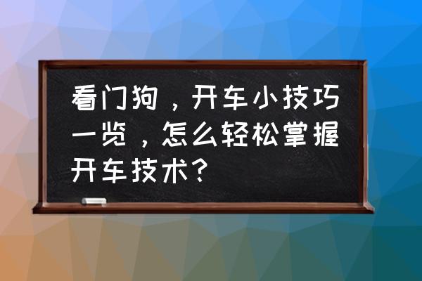 看门狗2如何开车灯 看门狗，开车小技巧一览，怎么轻松掌握开车技术？