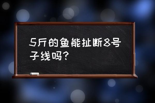 尼龙线几号能拉断鱼钩 5斤的鱼能扯断8号子线吗？