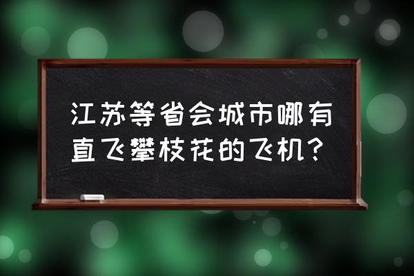 常州到四川省攀枝花怎么去 江苏等省会城市哪有直飞攀枝花的飞机？