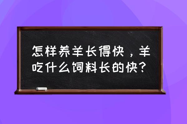 养羊场喂什么饲料长的快 怎样养羊长得快，羊吃什么饲料长的快？