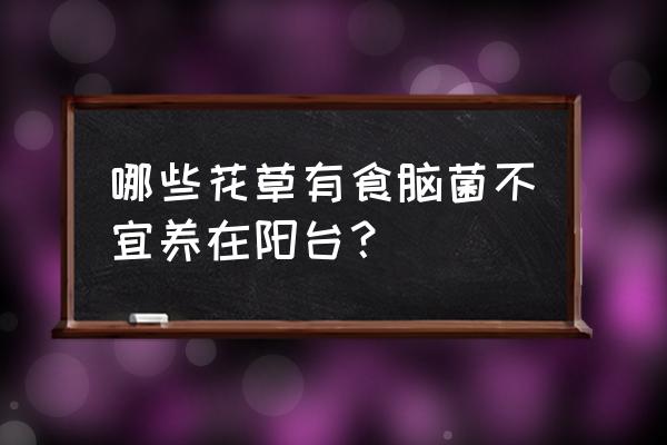 阳台盆栽有食脑菌吗 哪些花草有食脑菌不宜养在阳台？