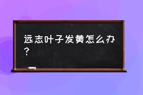 远志地能用什么除草剂 远志叶子发黄怎么办？