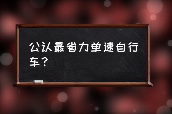 自行车哪个牌子的最好骑上轻便 公认最省力单速自行车？