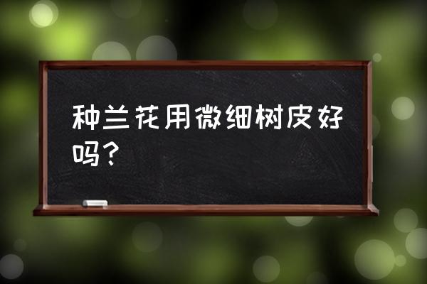 所有树皮都能种兰花吗 种兰花用微细树皮好吗？