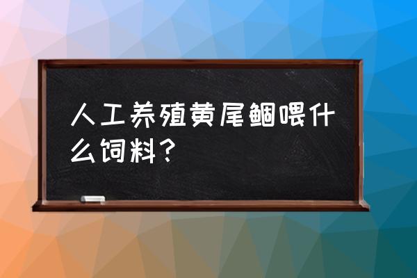 钓黄尾鱼用什么饲料好 人工养殖黄尾鲴喂什么饲料？