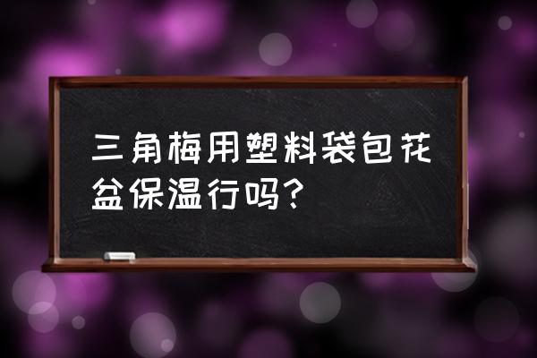 冬天花卉果树需要套保温袋吗 三角梅用塑料袋包花盆保温行吗？