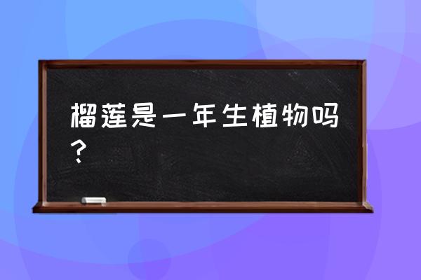 植物大战僵尸二怎么免费获得榴莲 榴莲是一年生植物吗？