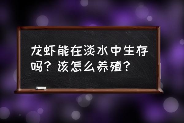 淡水虾长途运输技巧 龙虾能在淡水中生存吗？该怎么养殖？