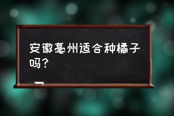 以下哪种地形不适合做柑橘园 安徽亳州适合种橘子吗？