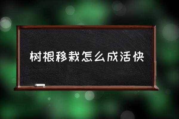 新栽的树怎么快速生根 树根移栽怎么成活快