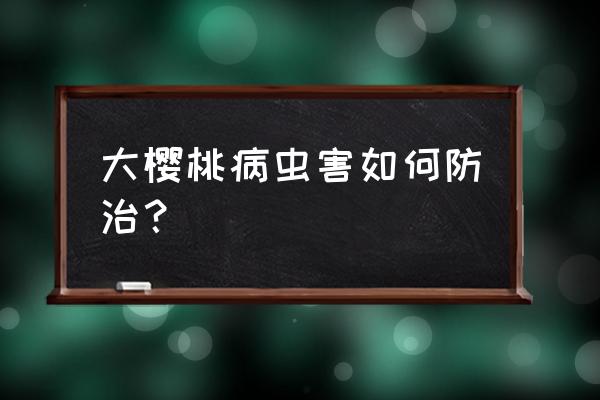 樱桃萝卜阳台种植出现虫害怎么办 大樱桃病虫害如何防治？